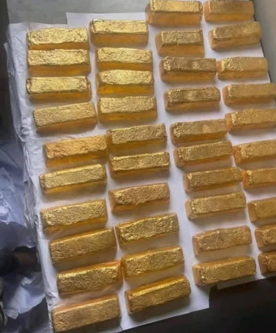 Gold bars after smelting