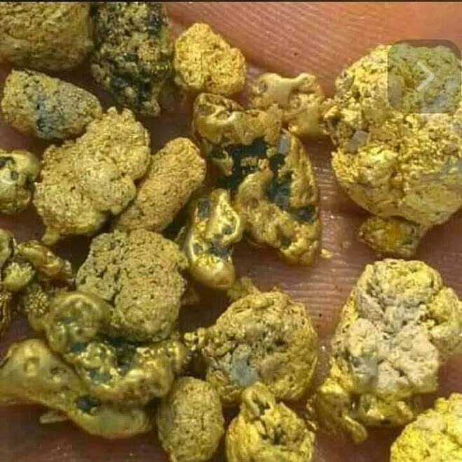 Raw gold nuggets